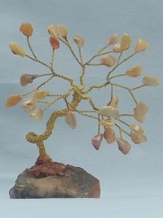 Kleiner Bonsai (± 8 cm) mit Howlith